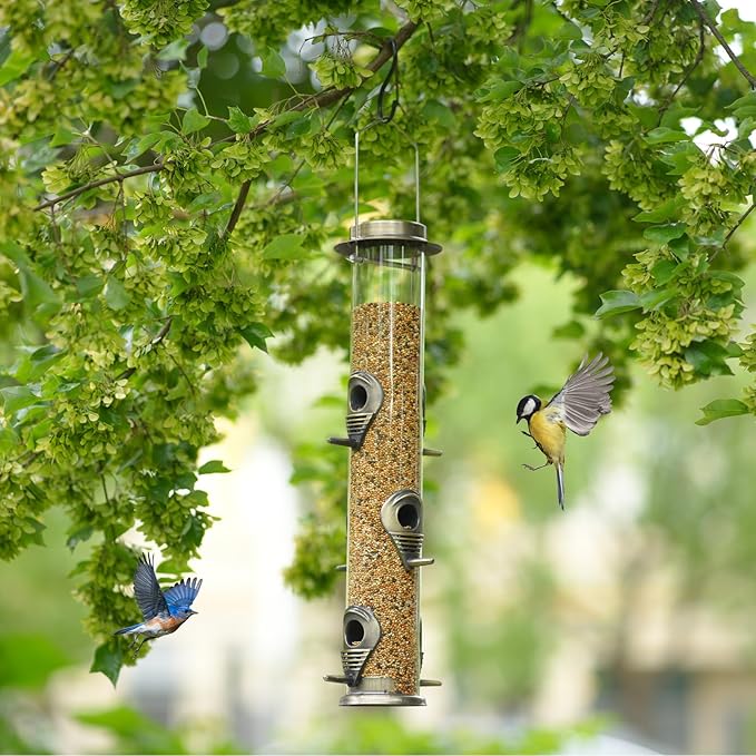 ERYTLLY Metal Bird Feeders 6 Port Tube Bird Feeder for Wild Birds, 1.4mm Extra Thick Solid Tube Transparent with Steel Squirrel Proof for Outside