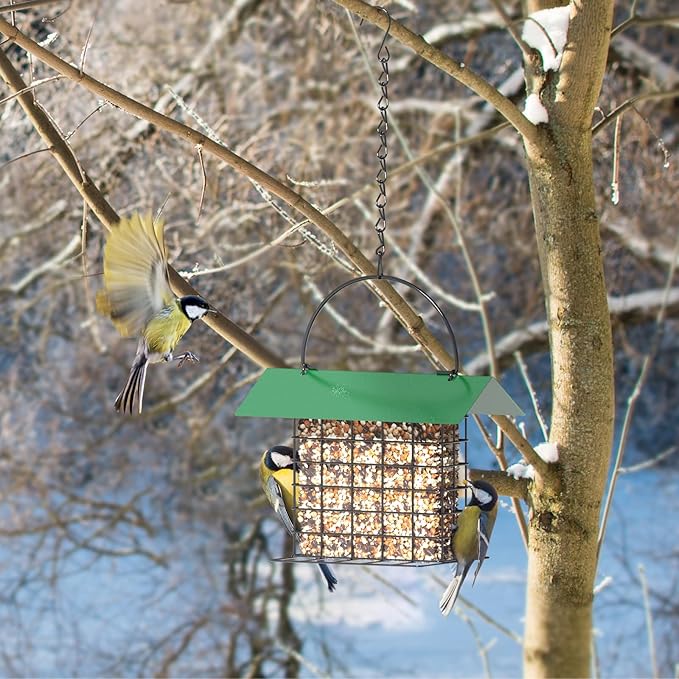 Bird Feeder for Outdoors, Suet Feeder Hanging, Attracts Nuthatches, Woodpeckers, Creepers, Weatherproof Bird Feeders for Wild Birds Woodpecker, Single Suet Cage for Outdoor