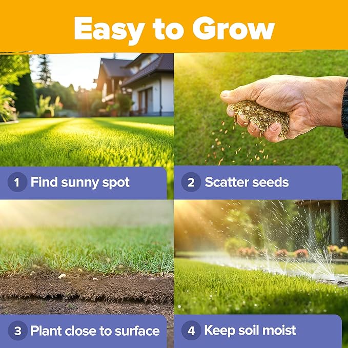 HOME GROWN Wildflower Seeds Mix - 47,400+ Non-GMO - 19 Perennial Flower Varieties for Planting Outdoors - Attract Butterflies & Birds - 3oz Wild Flower Seed Mix