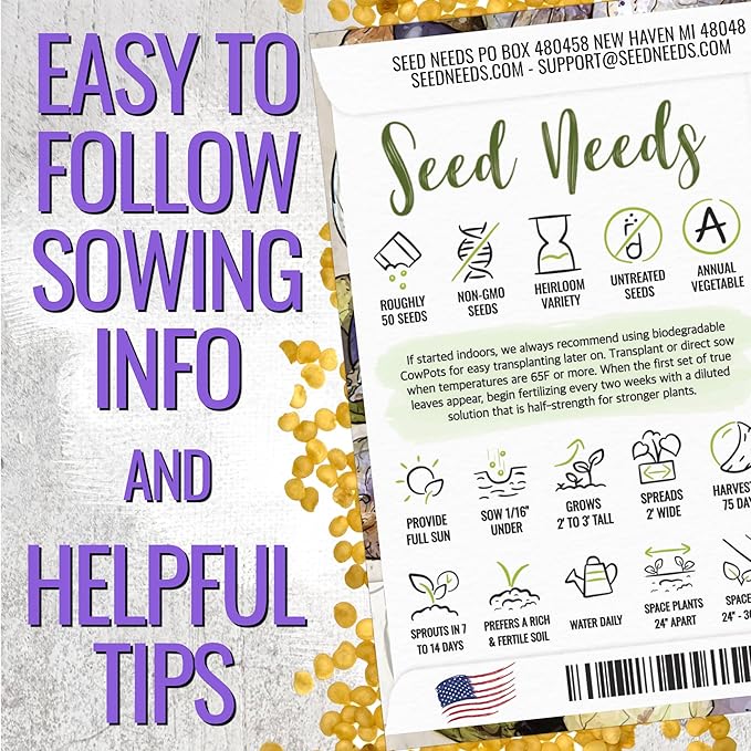Seed Needs Tomatillo Seeds for Planting Purple Tomatillos - Non-GMO Heirloom & Untreated Annual Veggie Seed to Plant a Home Grown Vegetable Garden Outdoors (1 Pack)
