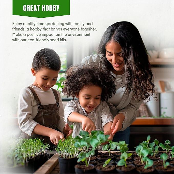 Vegetable Seeds Variety Pack – Tomato, Cucumber, Zucchini, Lettuce, Broccoli & Cabbage – 20 Varieties, 3900+ Non-GMO Heirloom Seeds, Indoor & Outdoor Garden