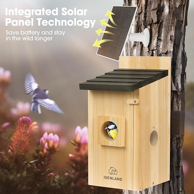 Smart Bird House with AI Identify Camera, 1080P Birdhouse Camera Solar Powered, Bird Houses for Outside Switch to Night Vision Automatically, 2.4G WiFi App to Observe Bird Activities in Real Time