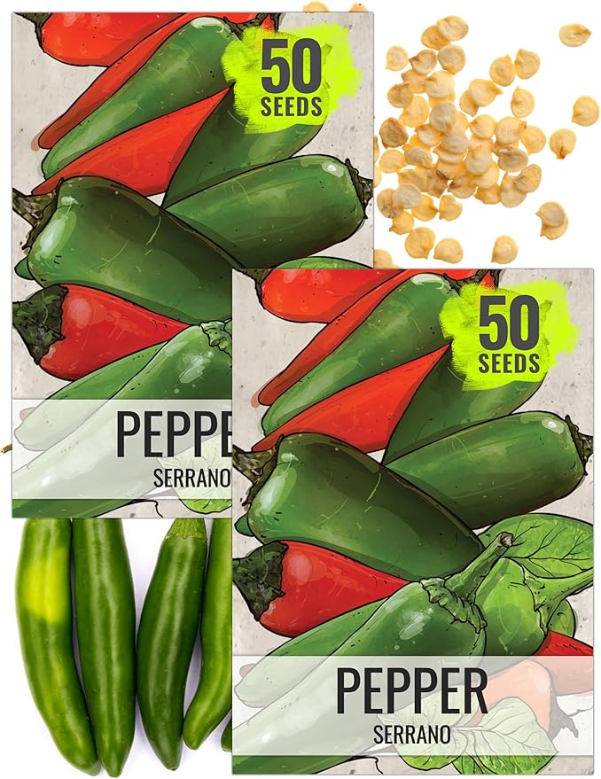 Seed Needs Hot Pepper Seeds for Planting Serrano Chile Peppers - Non-GMO Heirloom & Untreated Vegetable Seed to Plant an Outdoor Home Grown Veggie Garden (2 Packs)