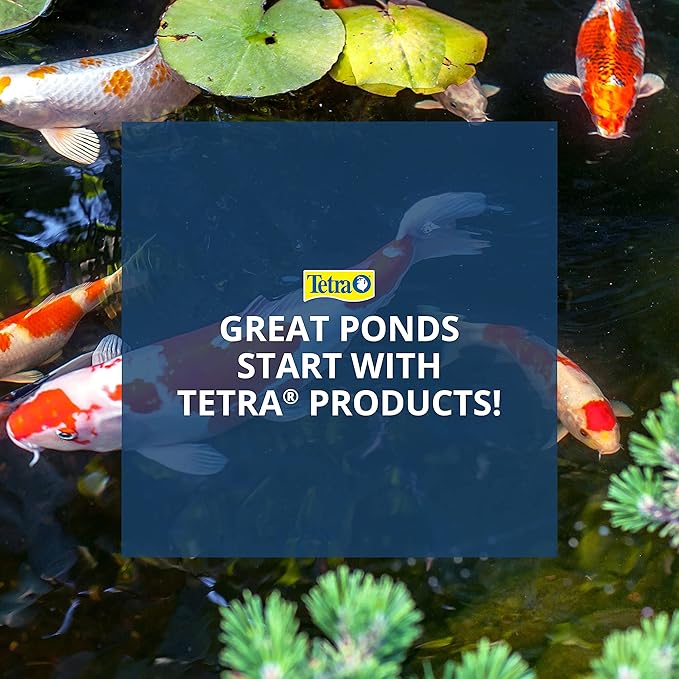 TetraPond Pond Pump Fountain Set, Spray/Bell/Frothy Patterns