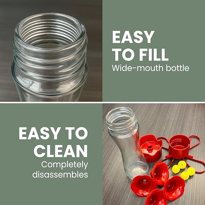 Perky-Pet 203CPBN Glass Hummingbird Feeder for Outdoors with Perches, Ant Moat, Bee Guards - Pack of 1