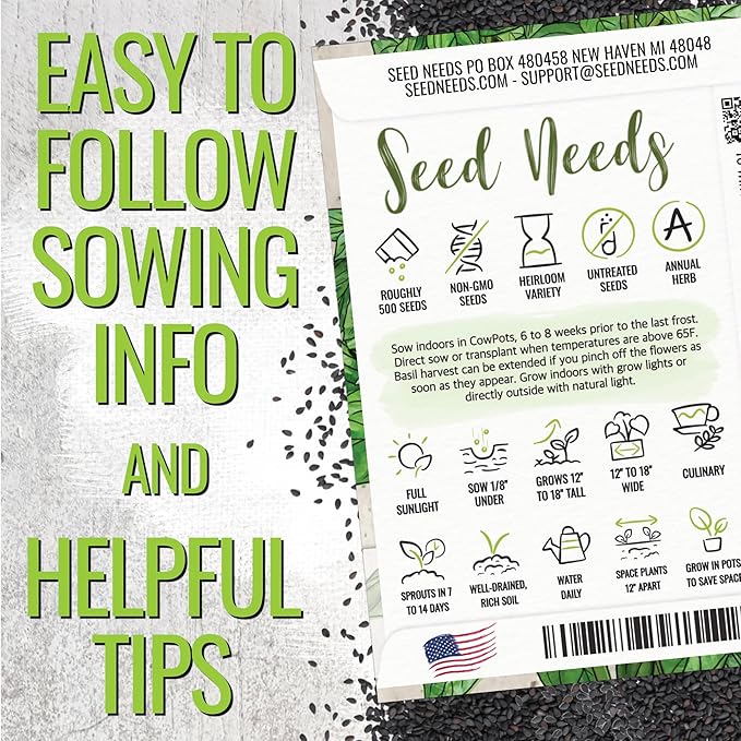 Seed Needs Sweet Basil & Italian Oregano Seeds for Planting Fresh Kitchen Herbs - Non-GMO Heirloom & Untreated Perennial & Annual Herb Seed to Plant a Culinary Garden Indoors or Outdoors (2 Packs)