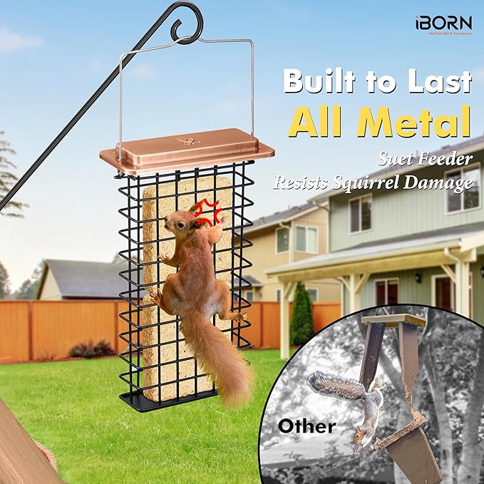 iBorn Metal Double Suet Feeder,Durable Suet Cake Cage Bird Feeder for Outdoors Hanging，Metal Roof Bird Feeder with Taller Grid for Woodpeckers,Large Suet Holder,Easy Clean & Refill,1 Pack,Copper