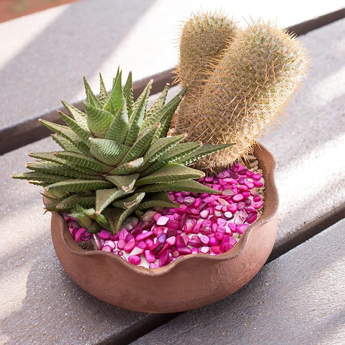 Crushed Shells for Crafts, Sea Shells for Decorating Wedding Vase Fillers Table Scatter, Party Favor, Wedding Decoration, Succulents Plants Soil Cover, Art Crafts (Rose red)