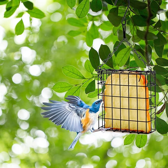 2Pcs Suet Bird Feeders, Outdoor Garden Cages for Outside Hanging, Single Suet Cake, One Suet Capacity