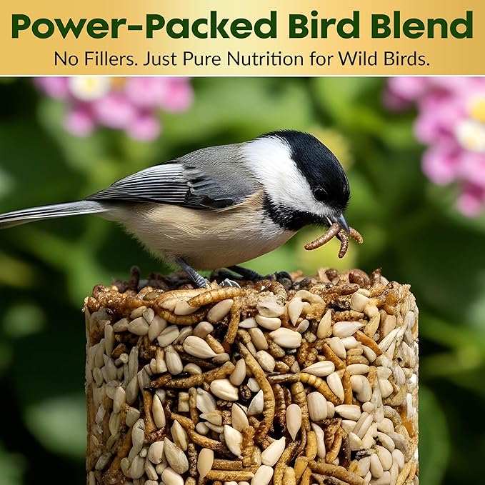 Mealworm Bird Seed Cylinders with Hole – Premium Mealworm Birdseed Log – Sunflower Chips & Dried Mealworms for Wild Birds – Natural High Energy Seed Cylinder – No Fillers – USA Made (4" x 7.75")
