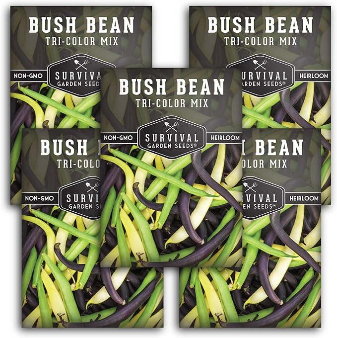 Survival Garden Seeds - Tri-Color Bean Seed for Planting - 5 Packs with Instructions to Plant and Grow Yellow, Purple, and Green Bush Beans in Your Home Vegetable Garden - Non-GMO Heirloom Variety