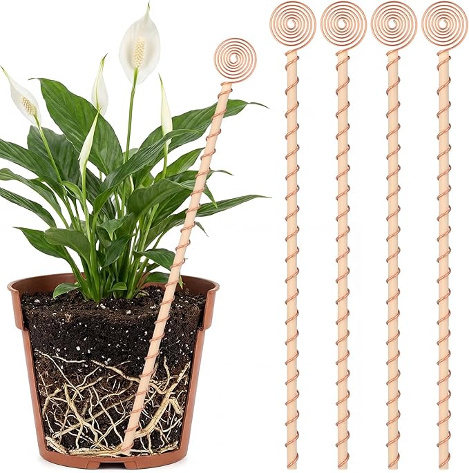 4 Pcs 13.5 Inch Electroculture Plant Stakes Copper Coil Plant Stakes for Garden Electroculture Antenna Garden Stake Wood Wrapped for Vegetable Flowers