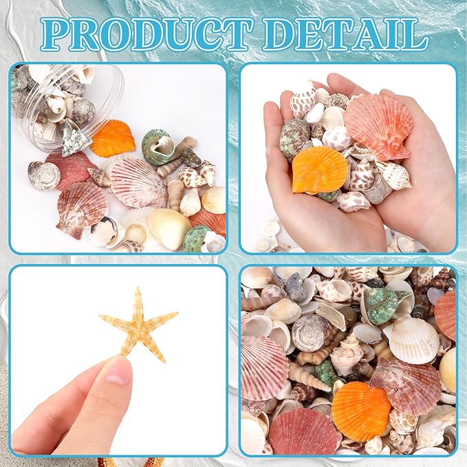 Mixed Sea Shells, 300+ Pcs Beach Seashells Starfish, Various Sizes Ocean Seashells for Fish Tank Vase Fillers, Beach Theme Party Wedding Decor, Candle Making, DIY Crafts