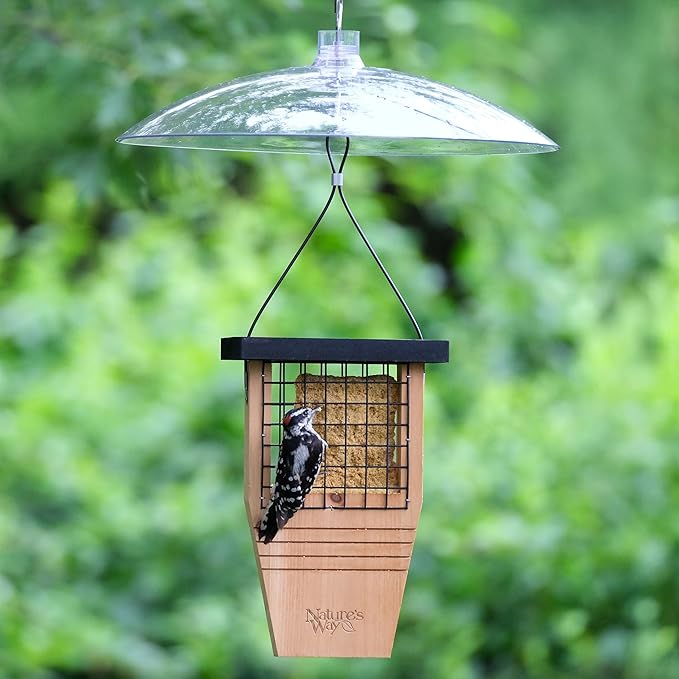 Squirrel Shield 16 inch Plastic Squirrel Baffle - Protects Hanging and Pole Mounted Feeders, Clear
