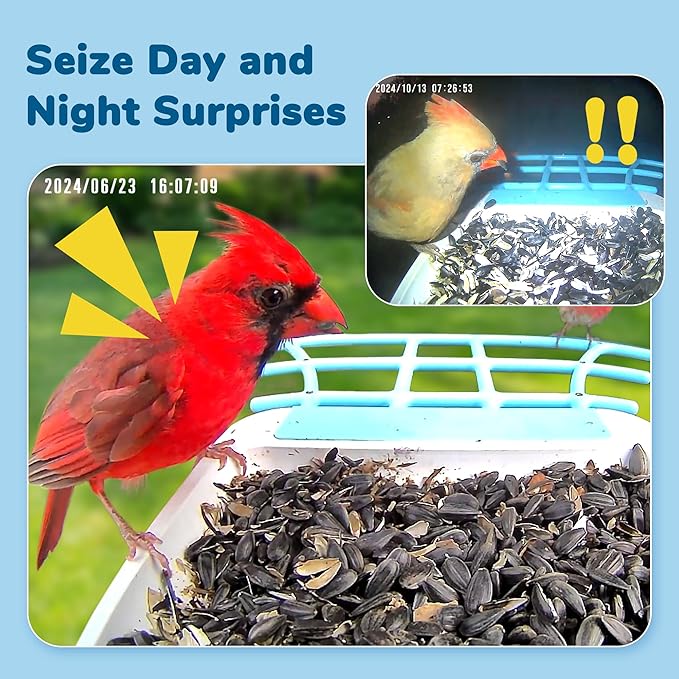 Bird Feeder with Camera, Equipped with 5000mAh Battery and Solar Panel, AI Bird Species Identification, 2K HD Video, Best Gift for BirdLovers