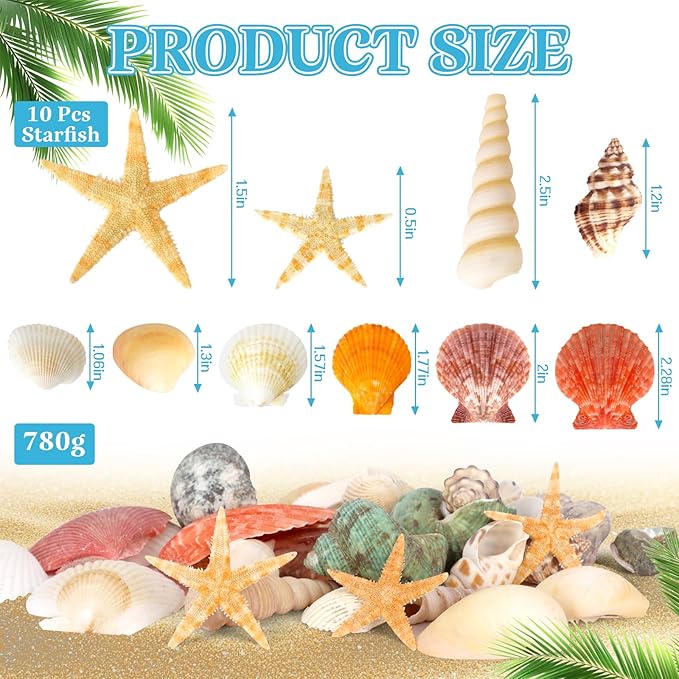 Mixed Sea Shells, 300+ Pcs Beach Seashells Starfish, Various Sizes Ocean Seashells for Fish Tank Vase Fillers, Beach Theme Party Wedding Decor, Candle Making, DIY Crafts