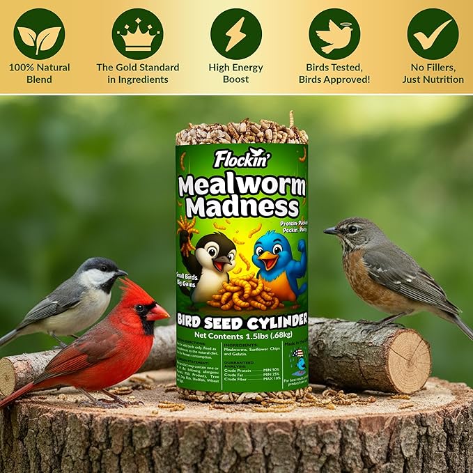 Mealworm Bird Seed Cylinders with Hole – Premium Mealworm Birdseed Log – Sunflower Chips & Dried Mealworms for Wild Birds – Natural High Energy Seed Cylinder – No Fillers – USA Made (4" x 7.75")