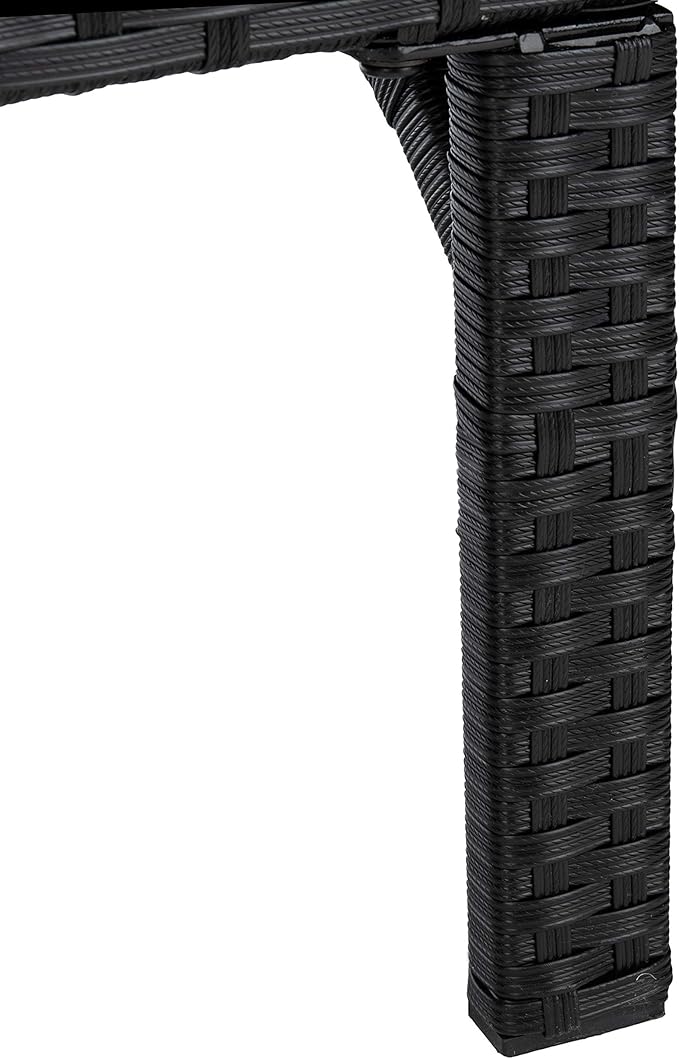 SAFAVIEH Outdoor Collection Cam Black Wicker/Beige Cushion Adjustable Chaise Lounge Chair, Black/Beige (PAT7501A)