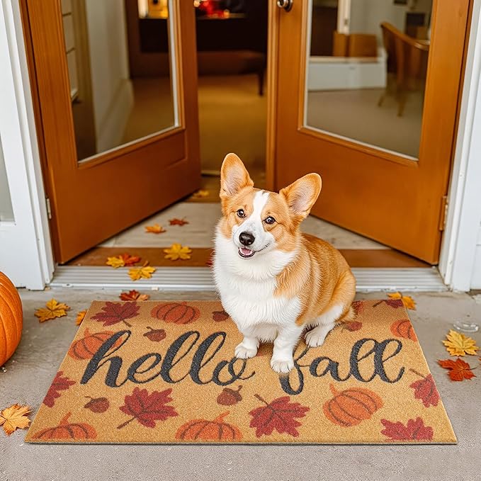 Hello Fall Pumpkin Door Mat Autumn Welcome Mat for Front Door Outdoor Entrance Doormat Coir Dirt Trapper with Non Slip Backing,17x30, Maple Leaves