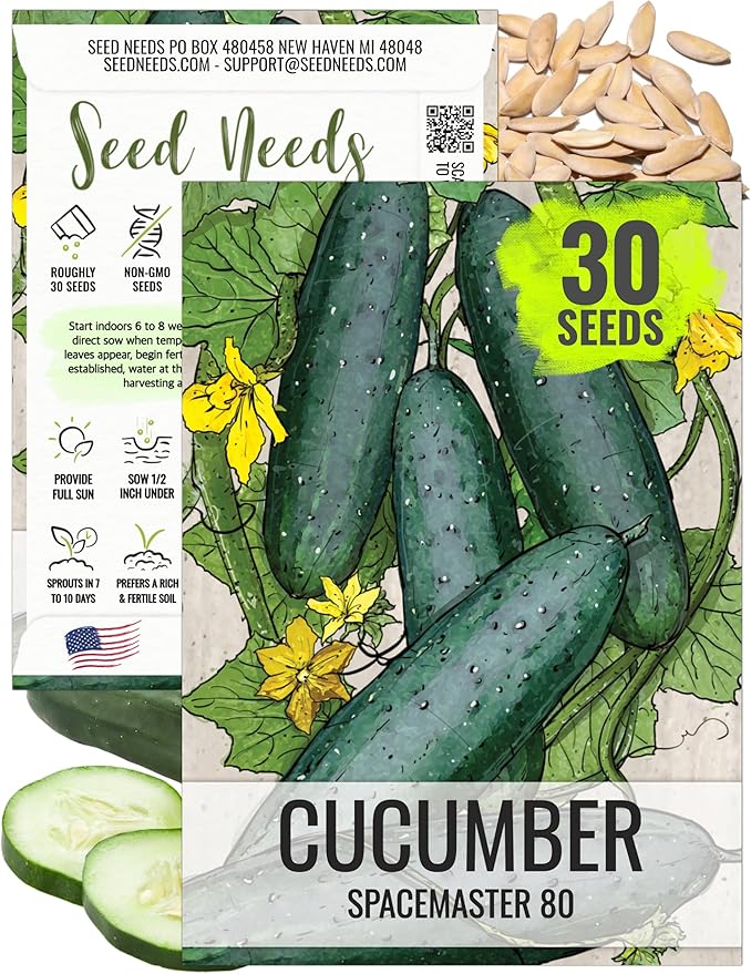 Seed Needs Cucumber Seeds for Planting Spacemaster 80 Cucumbers - Non-GMO Heirloom & Untreated Vegetable Seed to Plant an Outdoor Home Grown Veggie Garden (1 Pack)