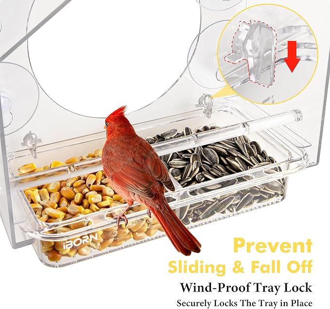 iBorn 2026 New Window Bird Feeders for Outdoors Wind-Proof Tray Lock,Cardinal Bird Feeder with Strong Suction Cups for Window Birds Watching, Chewproof PC, for Parent &Child