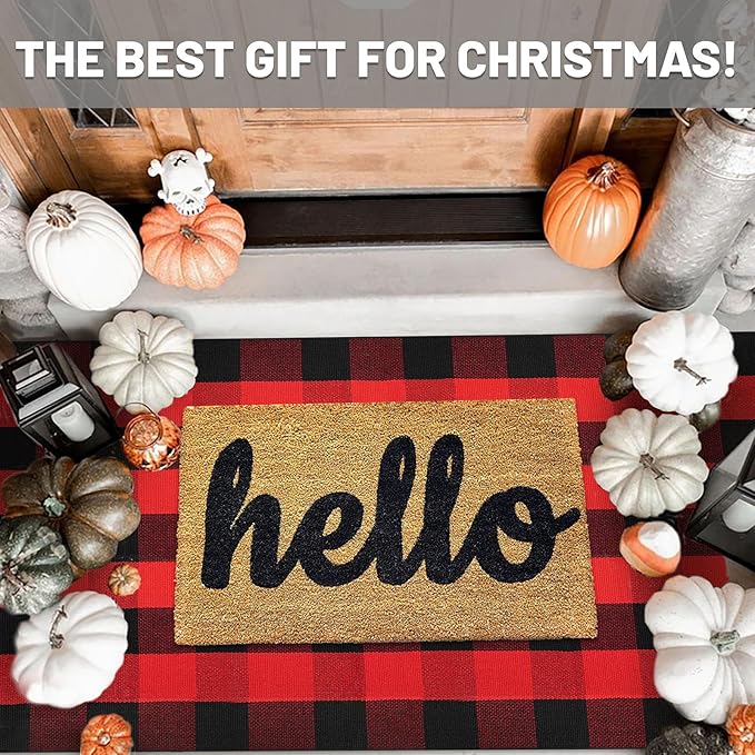 IOHOUZE Christmas Buffalo Plaid Rug 3x5 Ft Outdoor Indoor Doormat Red Black Check Washable Area Rug Woven Cotton Checkered Front Porch Mat Christmas Decor for Front Door Entryway Living Room