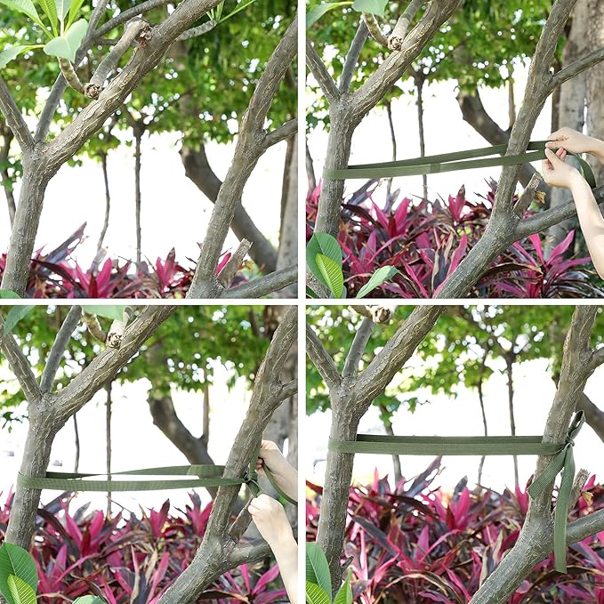 Shappy Tree Tie Strap Garden Webbing Strap Garden Plant Supports Tree Tie Staking for Outdoor Use, Plant Supports, Grafting, Straightening Supplies(Olivine,295 Feet x 1 Inch)