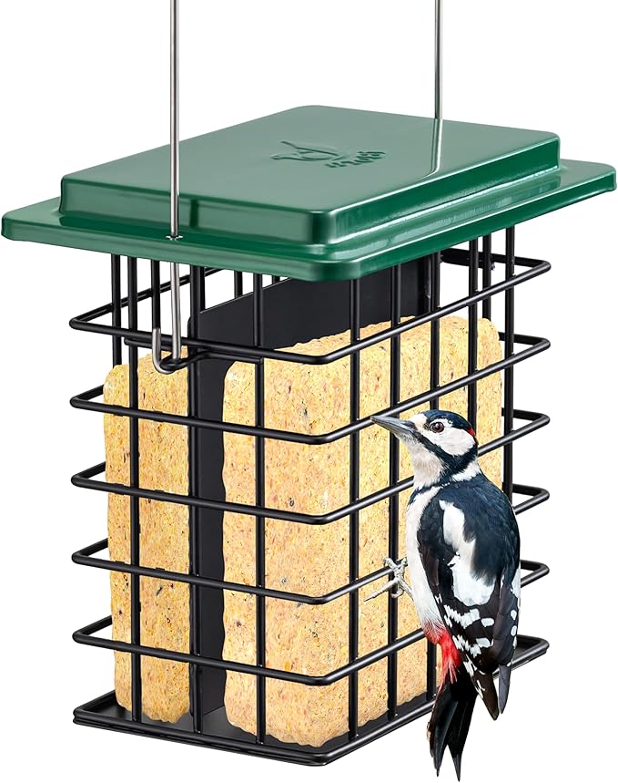 iBorn Double Suet Feeder- Metal Roof Bird Feeder with Taller Grid for Woodpeckers, Suet Cake Cage Bird Feeder for Outdoors Hanging,Easy-Clean & Refill,Green (1 Pack)