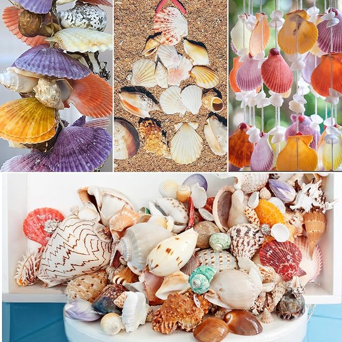 Fangoo 1.5 LB Mixed Sea Shells, 130+ PCS Beach Seashells Starfish Oyster Shells Various Sizes Ocean Seashells for Fish Tank Vase Fillers Beach Theme Party Wedding Decor DIY Crafts Home Decorations