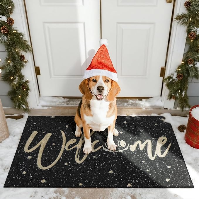 Welcome Mat Front Door Mat Indoor Outside Entrance, Absorbent Heavy Duty Doormat with Non Slip Backing Entryway Rug for Front Back Door, 24" x 36", Black