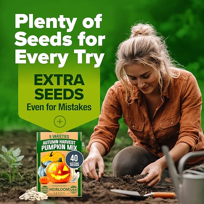 HOME GROWN Pumpkin Seeds for Planting - 5 Variety Mix - 40 Seeds - Heirloom Non GMO USA - Vegetable Garden - Edible & Jack O Lanterns - Connecticut Field Blue White Mini - Autumn Harvest