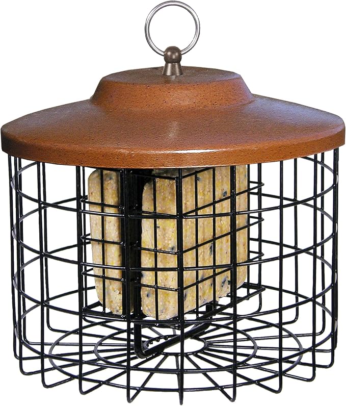 More Birds Bird Feeder- Double Cage
