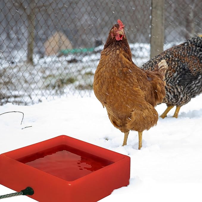 Farm Innovators 1.25 Gallon 60 Watt Electric Heated Pet Water Bowl with Thermostatic Control and Anti Chew Cord Protector, Red (2 Pack)