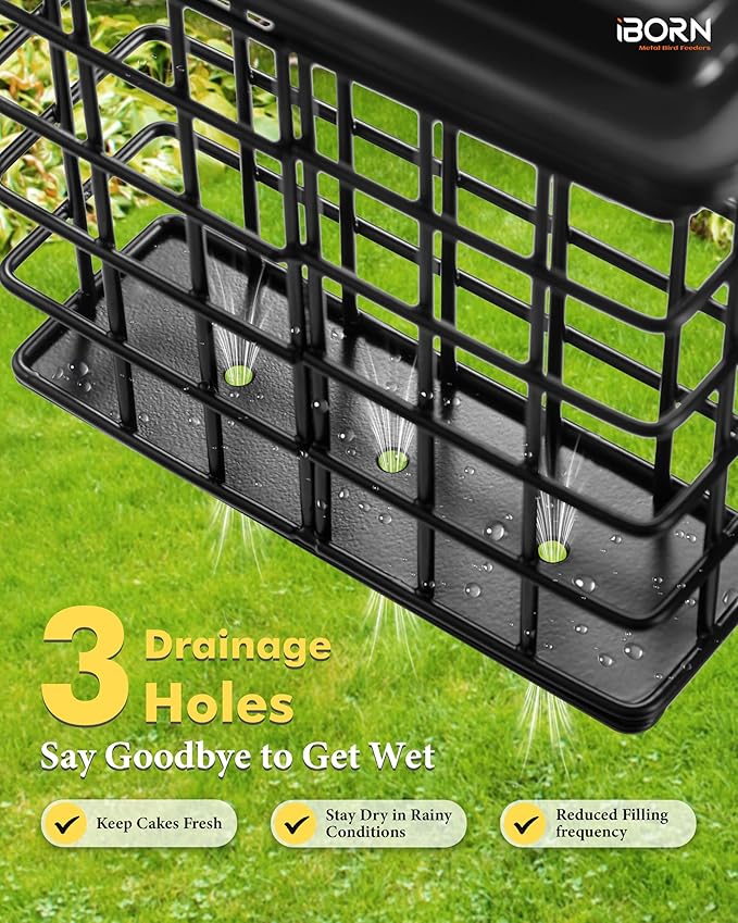 iBorn Suet Feeder Suet Bird Feeders [Single Capacity] for Outside Hanging with Taller Grid for Woodpecker,Metal Black（Pack of 1）