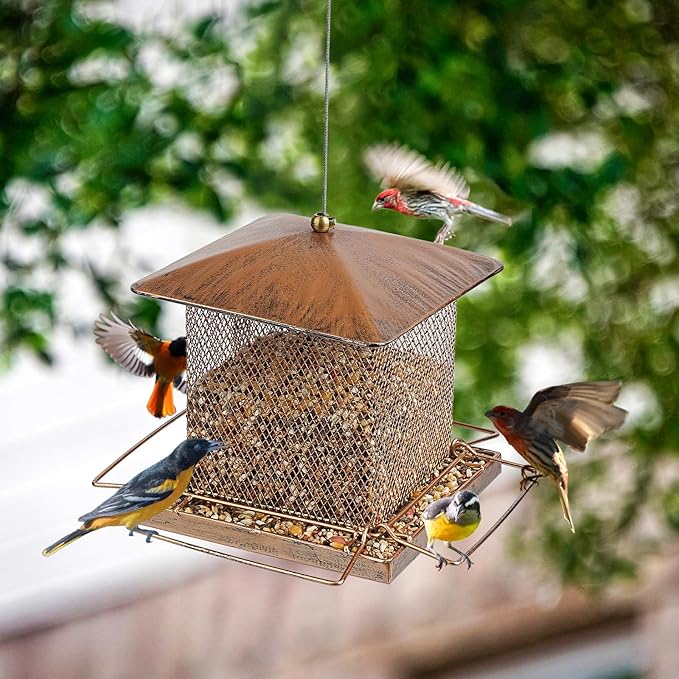 Bird Feeder, Heavy Duty Metal Bird Feeders for Outdoor Hanging, Wild Birdfeeder with Buckle for Garden Yard Outside Backyard, 3.5LB Large Capacity