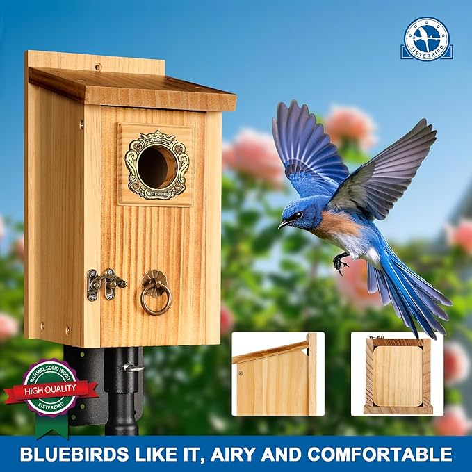 Premium Pack of 2 Bluebird Houses for Outside, Garden Bird Houses for Outdoor, Vintage Metal Predator Guard, Birdhouse Gift, Weatherproof Coating Bird Nesting, Assembly Required