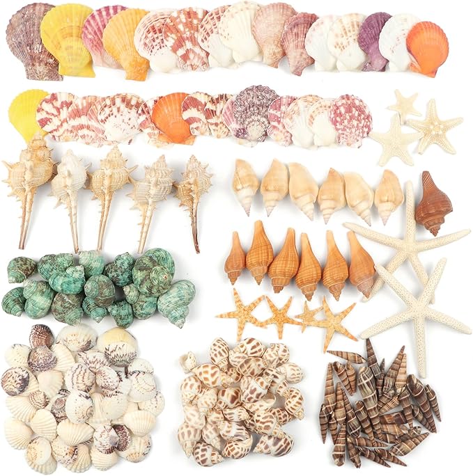 Fangoo 1.5 LB Mixed Sea Shells, 130+ PCS Beach Seashells Starfish Oyster Shells Various Sizes Ocean Seashells for Fish Tank Vase Fillers Beach Theme Party Wedding Decor DIY Crafts Home Decorations