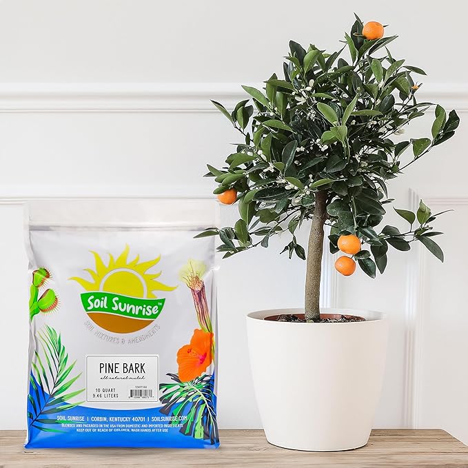 Soil Sunrise 100% Natural Pine Bark Mulch Nuggets (30 Quarts) Small Mulch Chips for Indoor/Outdoor Container Gardening, Ideal for Soil Supplement, Houseplant Mulch, and Terrariums