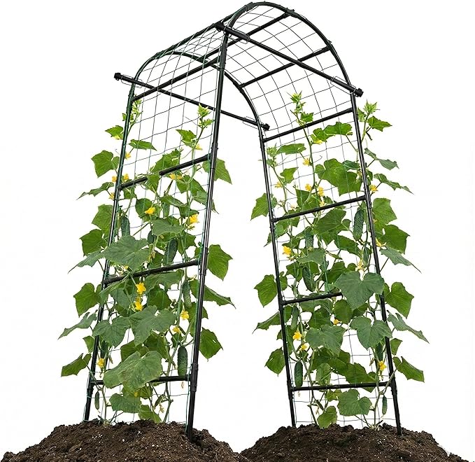 Garden Arch Trellis, 80'' Tall Walk-Through Plant Support for Climbing Vines Flowers Vegetables Grapes and Tomatoes Sturdy Outdoor Metal Arbor for Raised Beds