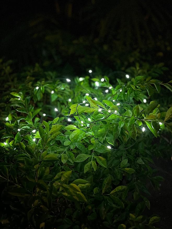 Magicnight Short Mini Garden Lights Solar Powered Waterproof Fairy Lights Outdoor Garden String, Green Wire, Warm White,5m 50LEDs,2 Pack