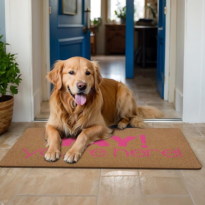 Yay You're Here Door Mat, Funny Welcome mat, Trendy Preppy Pink Coir Door Mats Outdoor Indoor Outside Entrance for Teen Girls, Girly Apartment College Dorm Room Decor 17x29 Inch