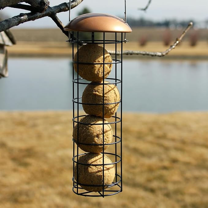 C&S Wild Bird Food Suet Dough Balls Feeder