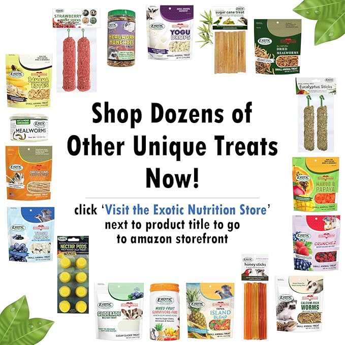 Exotic Nutrition Squirrel Beneficial Blocks - Healthy & Unique Supplemental Food with Nuts & Seeds, 10 oz