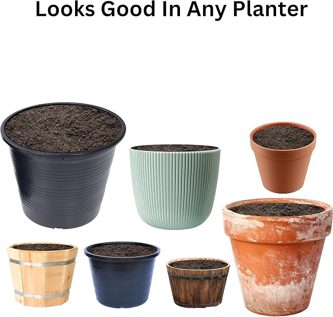 Premium Soil - Improve Quality, Fill Holes, Top-up Plants, Protect Seeds, Make Mixes; Ideal Indoor Potting 2 Quarts