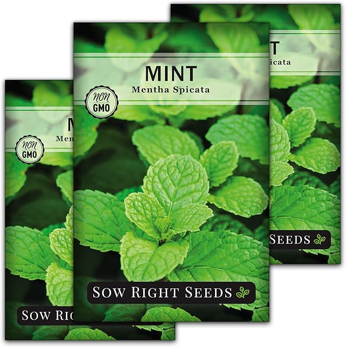 Sow Right Seeds - Mint Seed for Planting - Non-GMO Heirloom Packet with Instructions to Plant an Herbal Tea Garden - Indoors or Outdoor - Perennial and Fragrant - Hydroponics and Kitchen Gardening (3)