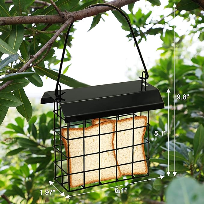 FORUP Suet Bird Feeder, Hanging Suet Feeder, Single Suet Cake Bird Feeder, One Suet Capacity, 2 Pack