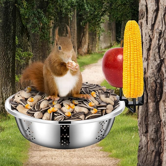Metal Squirrel Feeders for Outside,Squirrel House for Outdoors, Durable Bowl Tree Mounted of Chipmunk Feeder, Squirrel Food for Backyard Squirrels Hold Corn, Corn Cob, Peanuts (8.5 Inch)