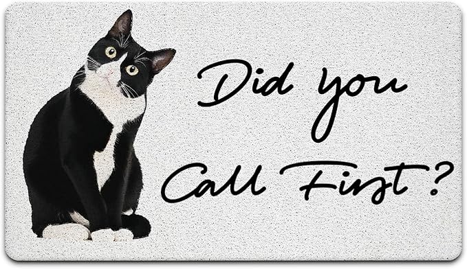 JINYO Cat Door Mat, Did You Call First Funny Door Mat Indoor Outdoor Entrance Entryway Porch, Cat Welcome Mats, Funny Kitty Bath Mats for Bathroom, 17x30 Inch