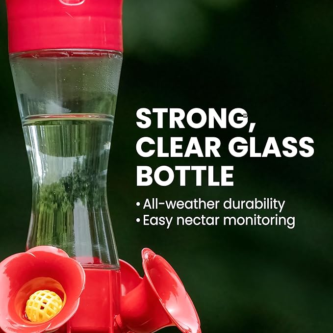 Perky-Pet 203CPBN-2 Glass Hummingbird Feeders for Outdoors with Perches, Ant Moat, Bee Guards - Pack of 2