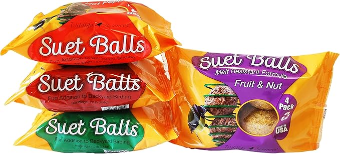 Suet Ball Feeder and Suet Ball Variety Combo Pack | Geo Pyramid Feeder with 16 Suet Balls